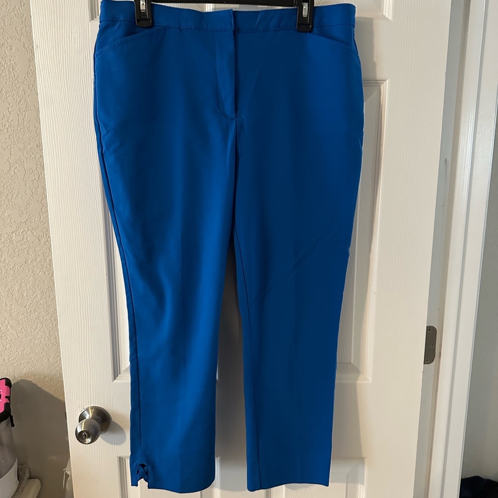 Ruby Rd ankle pants 14